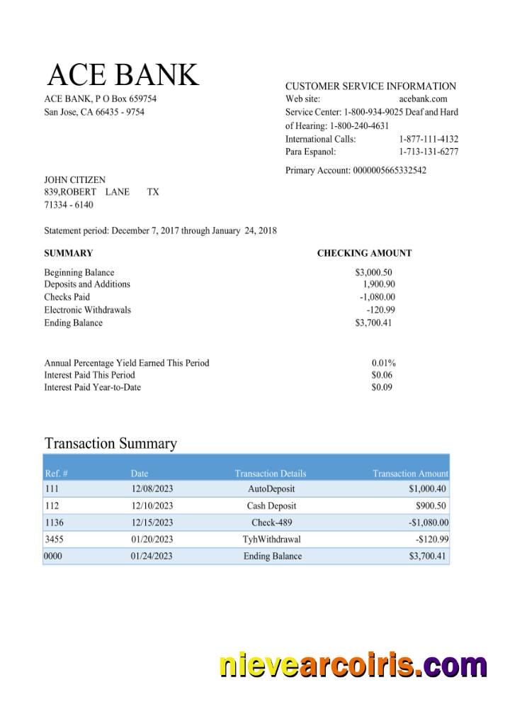USA ACE bank statement Word and PDF scr
